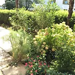 بيت ضيافة Borka 3*