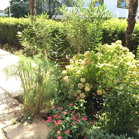 Maison d'hôtes Borka 3*