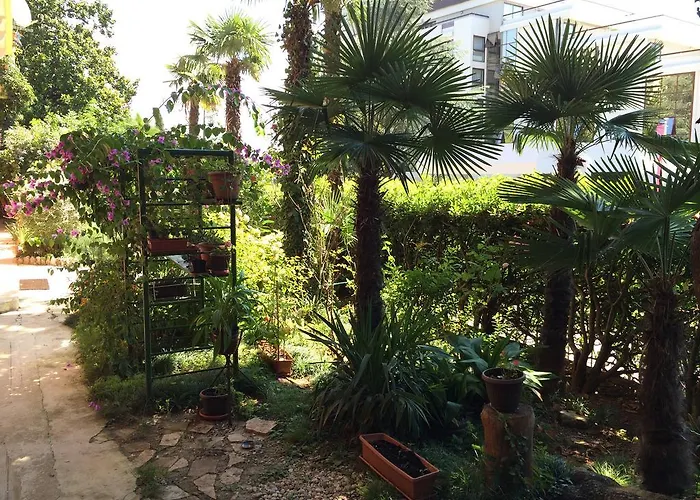 Πανσιόν Borka Οπατία