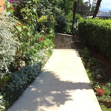 בית הארחה Borka 3*